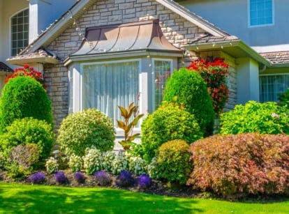 Hedges