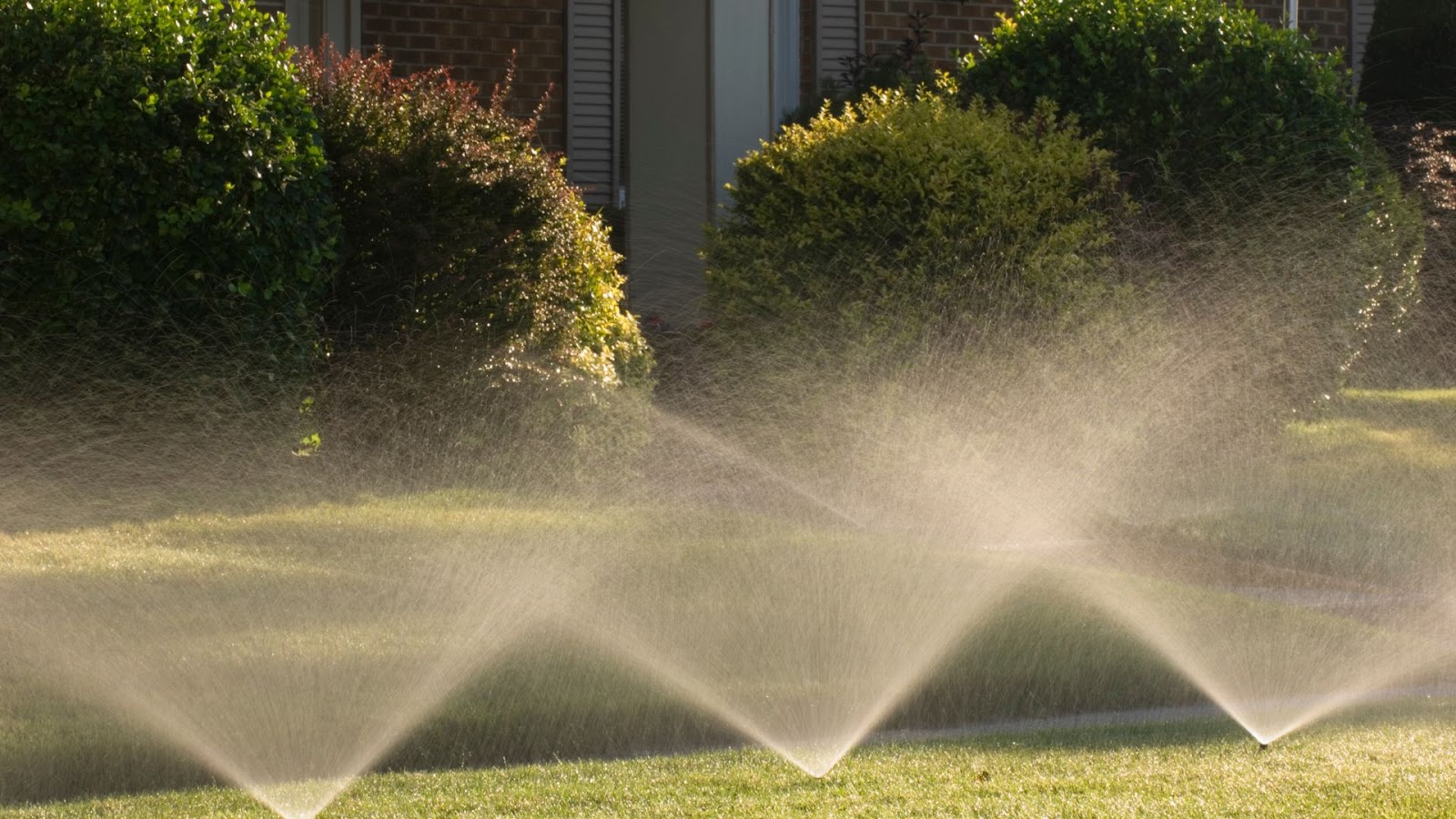 Irrigation system