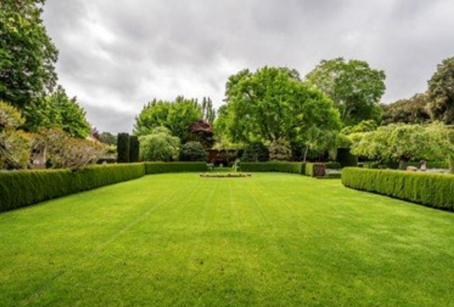 Green lawn