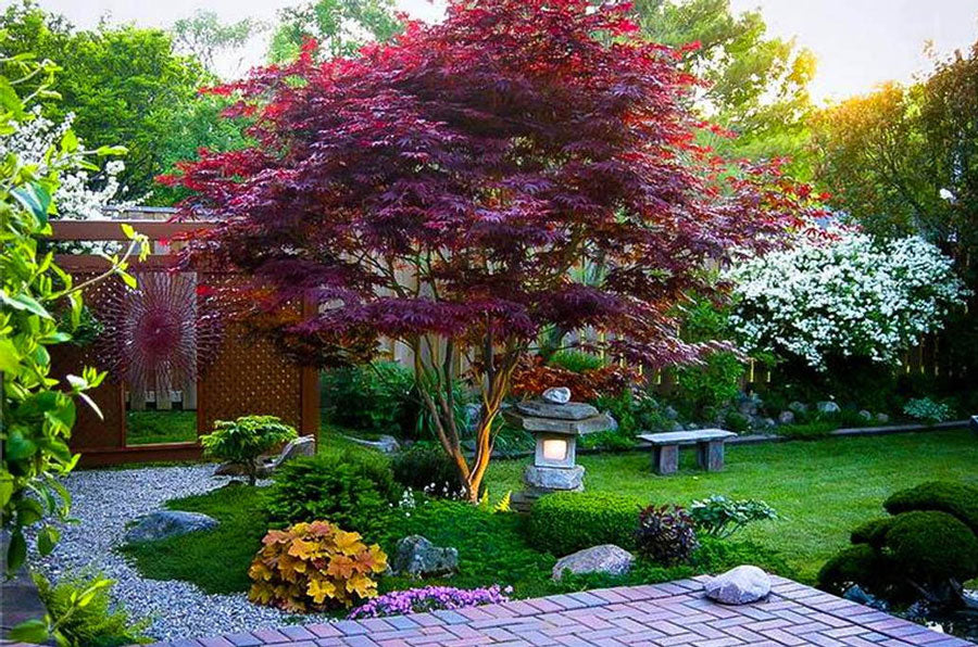 Ornamental trees