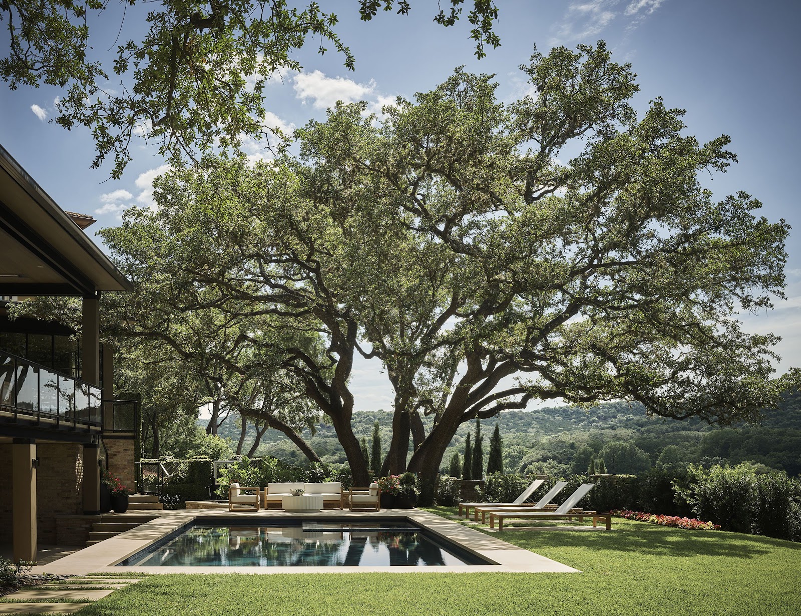 Shade trees